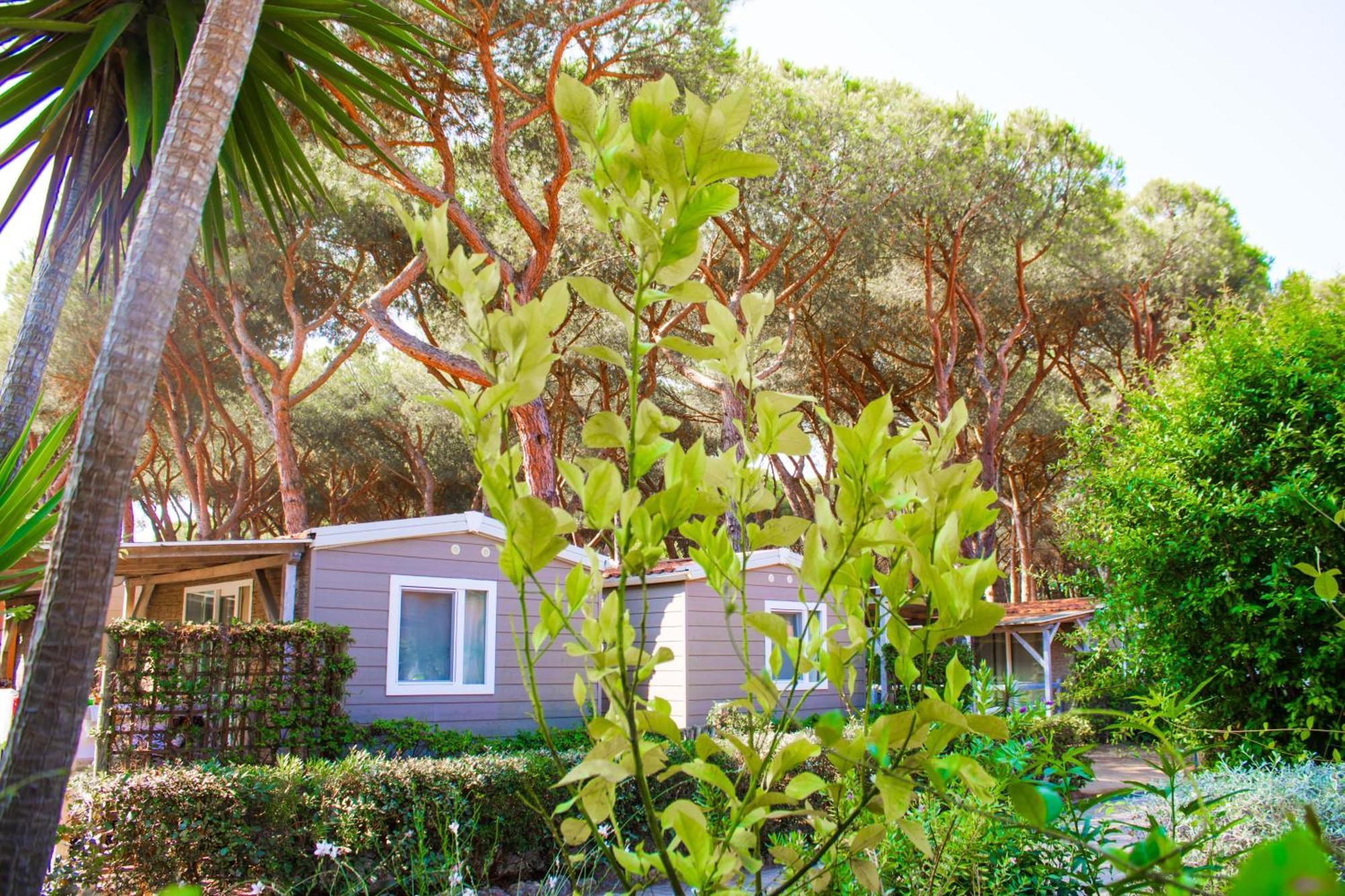 Camping Village Africa Albinia Exterior foto